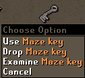 Maze key.png